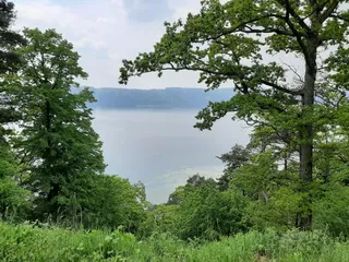Dingelsdorfer Ried