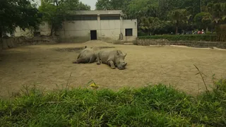Chengdu Zoo