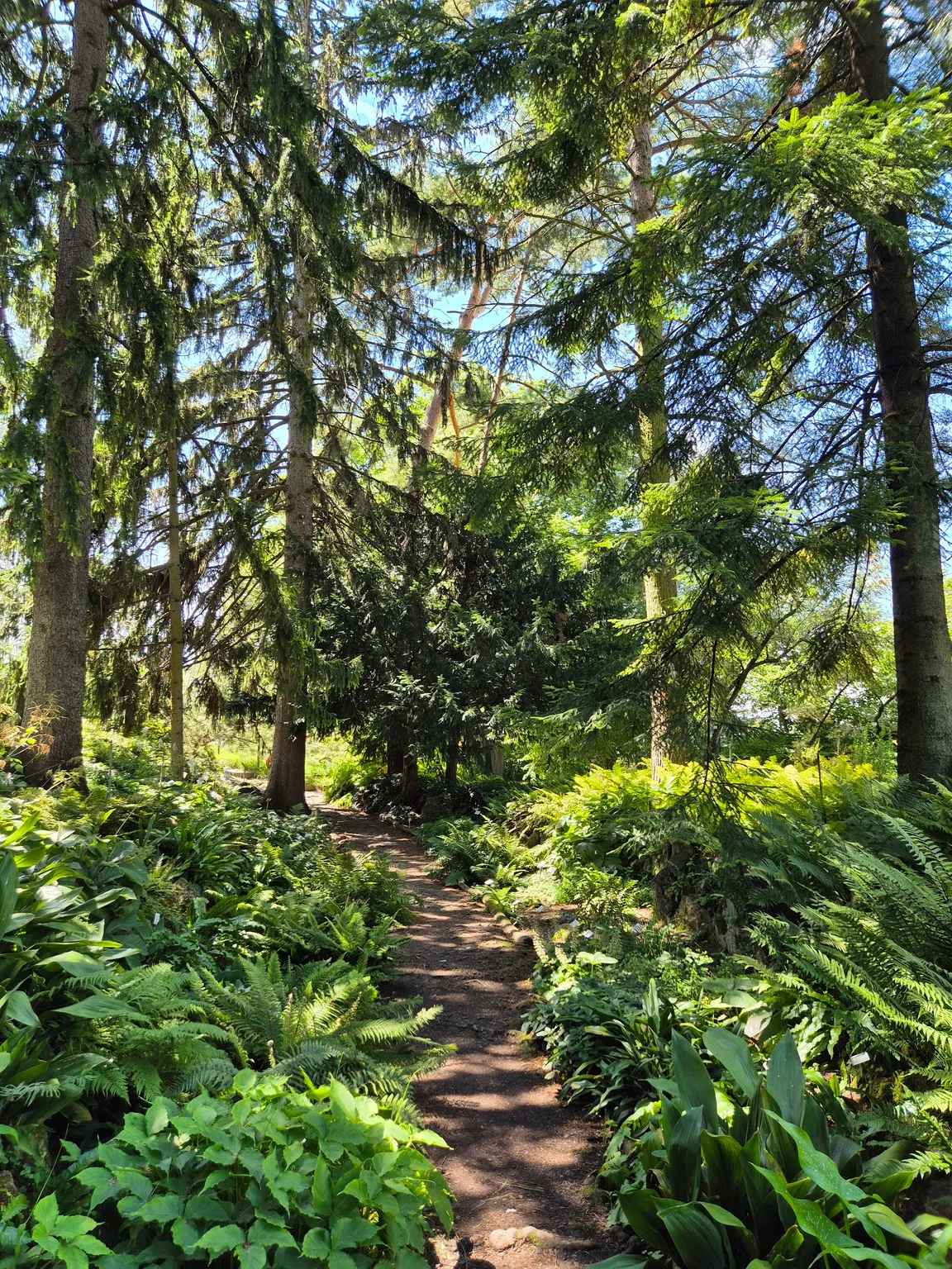 Ogród Botaniczny w Heidelbergu