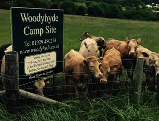 Woodyhyde Campsite