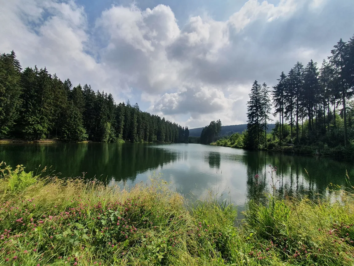 Liebesbank trail