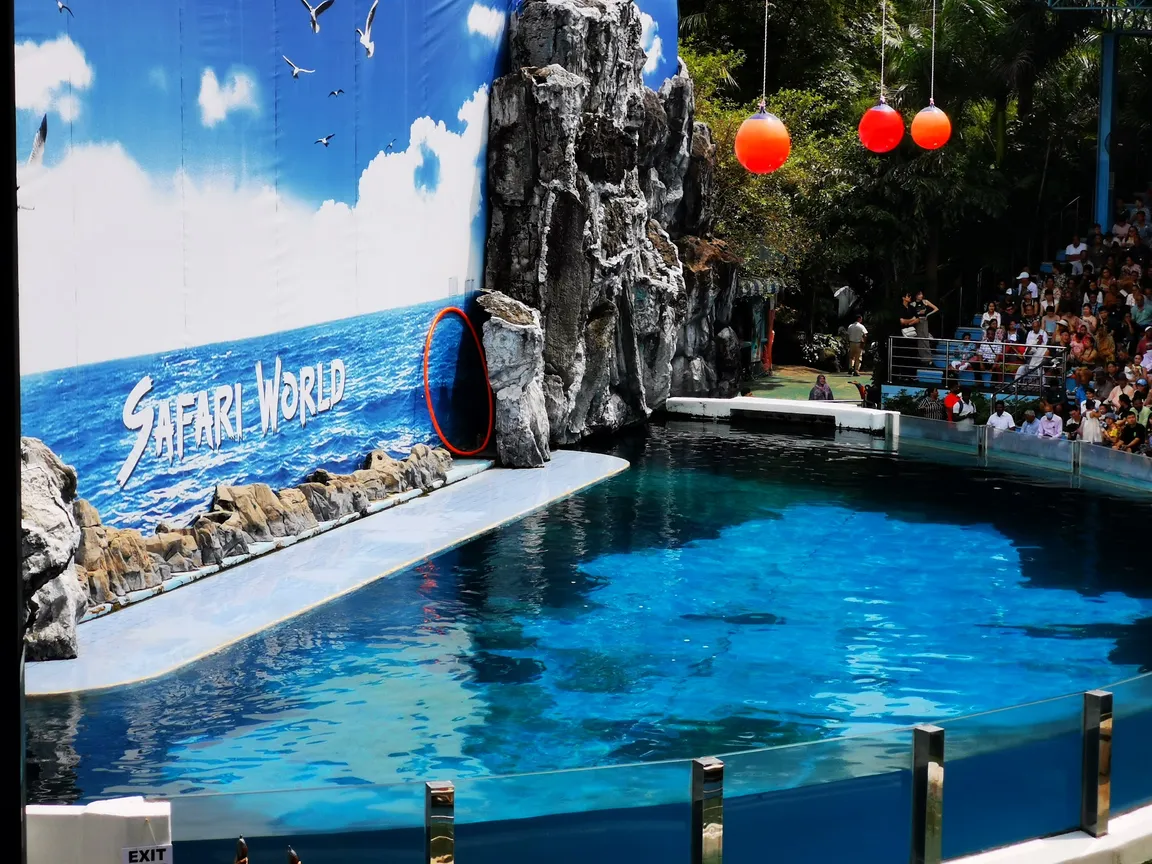 Sea Lion Show