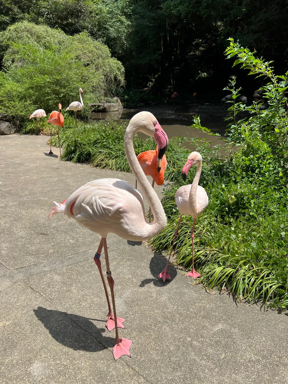 Nagasaki Bio Park