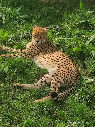 Miejski Ogród Zoologiczny im. Antoniny i Jana Żabińskich w Warszawie
