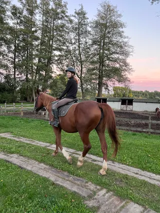 Pony Club Okrzeszyn