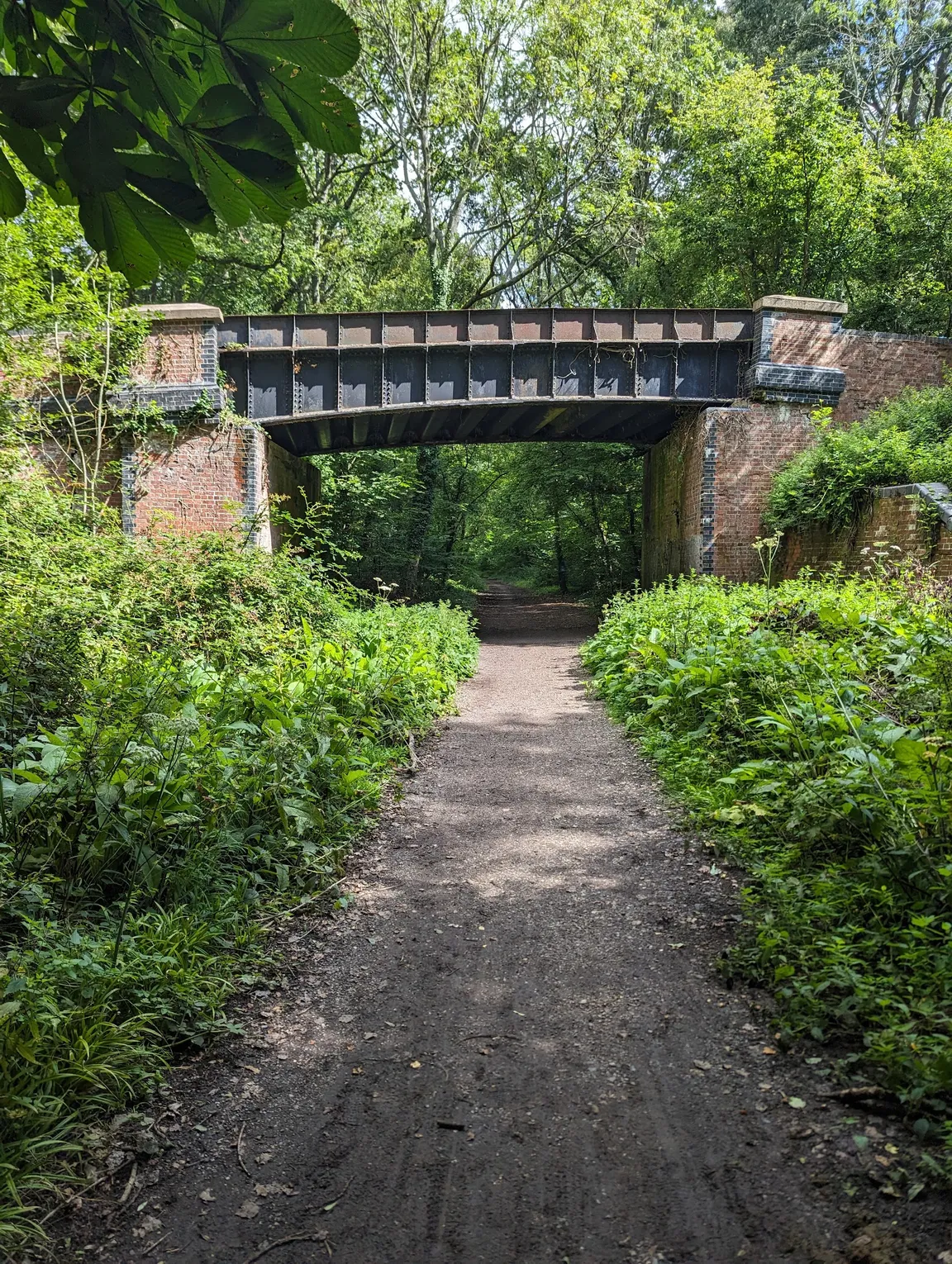 Meon Valley Trail