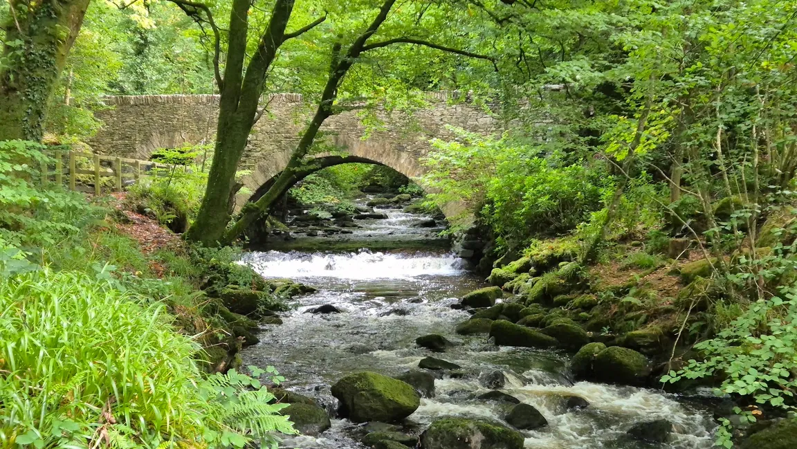 Killarney National Park