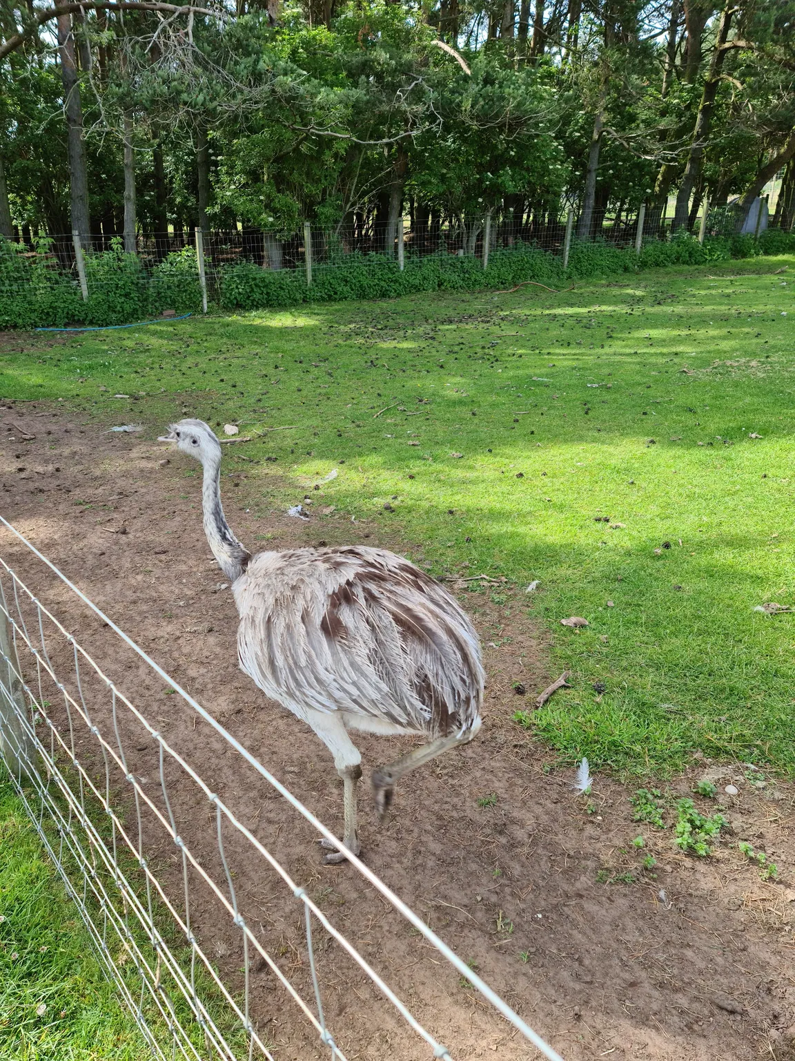 East Links Family Park