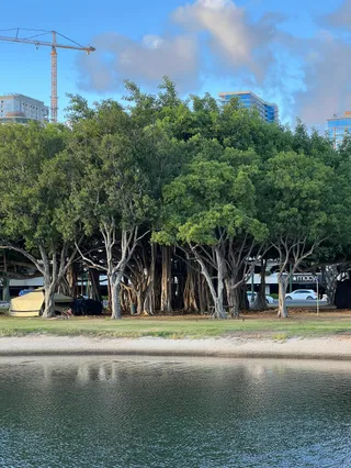 Ala Moana Regional Park