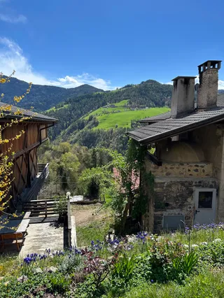 Agriturismo Fronthof