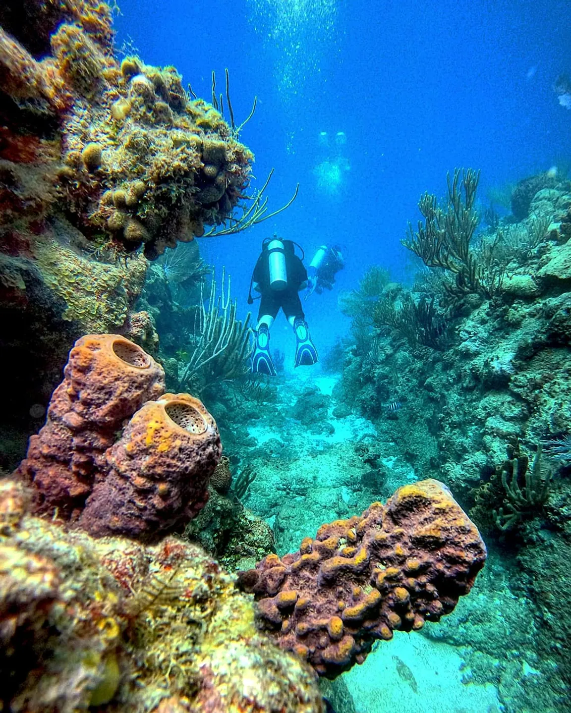Superior Dive Sosua
