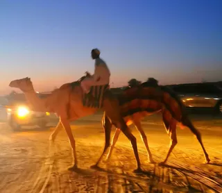 Khawaneej Camel Track