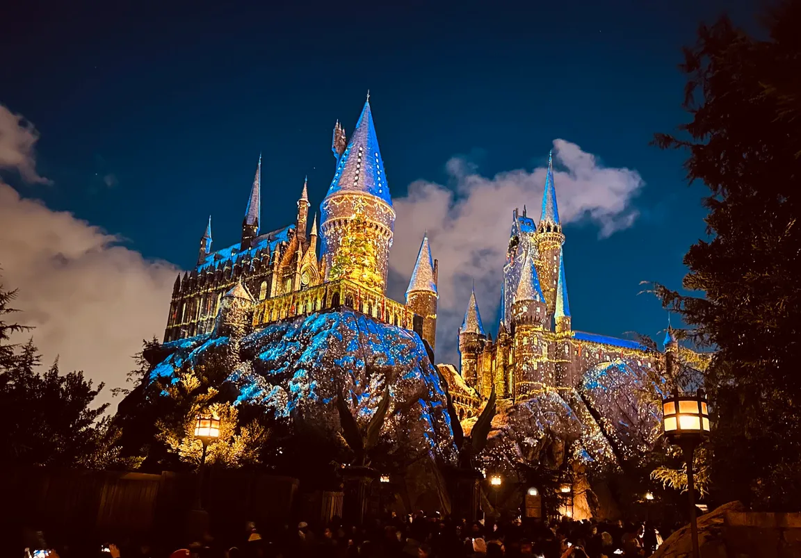 The Wizarding World of Harry Potter