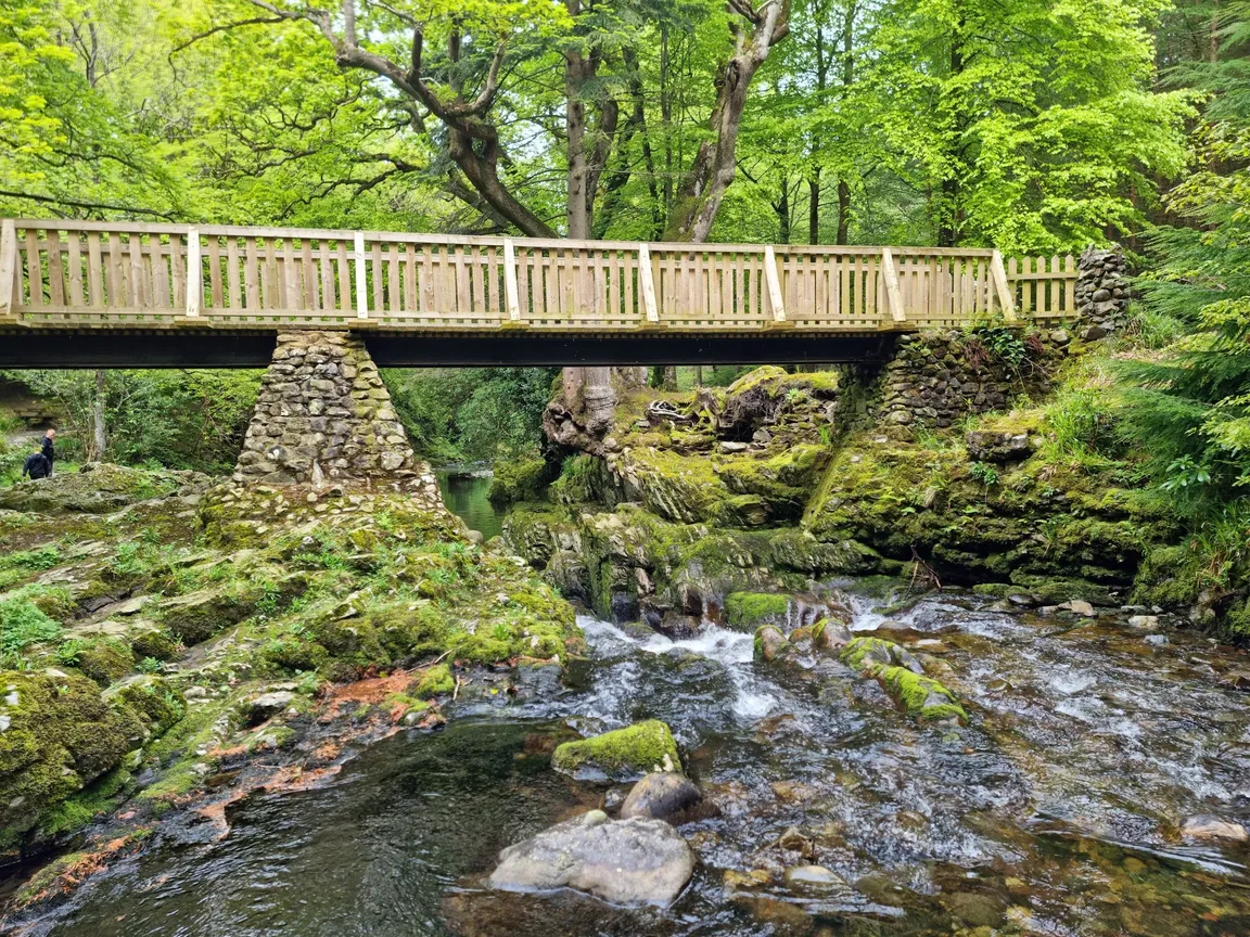 Tollymore Forest Park