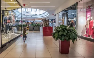 Galeria Różana