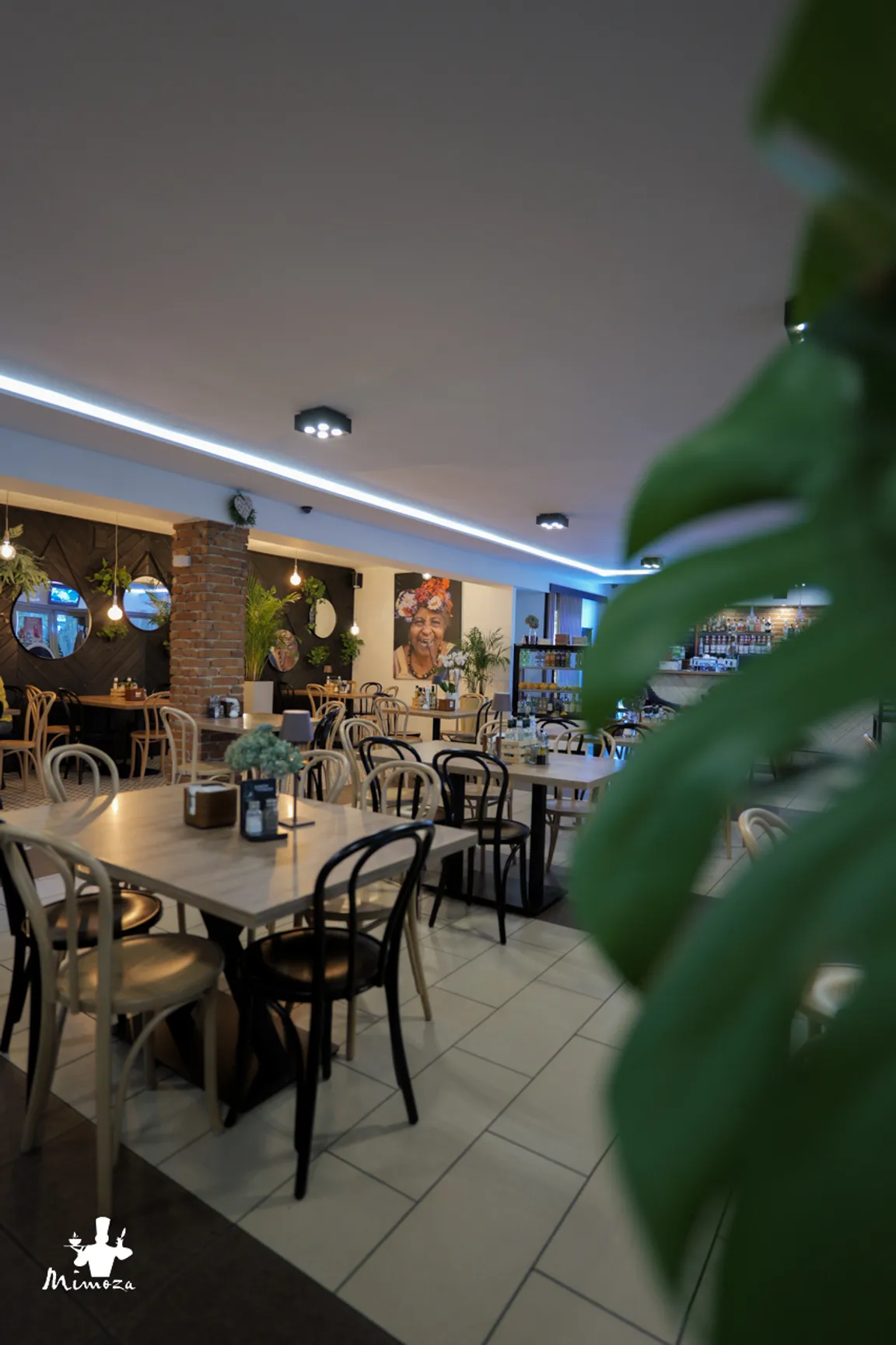 Restauracja Mimoza Caffee Pizza Music Pub