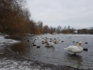 Plansche am Weißen See