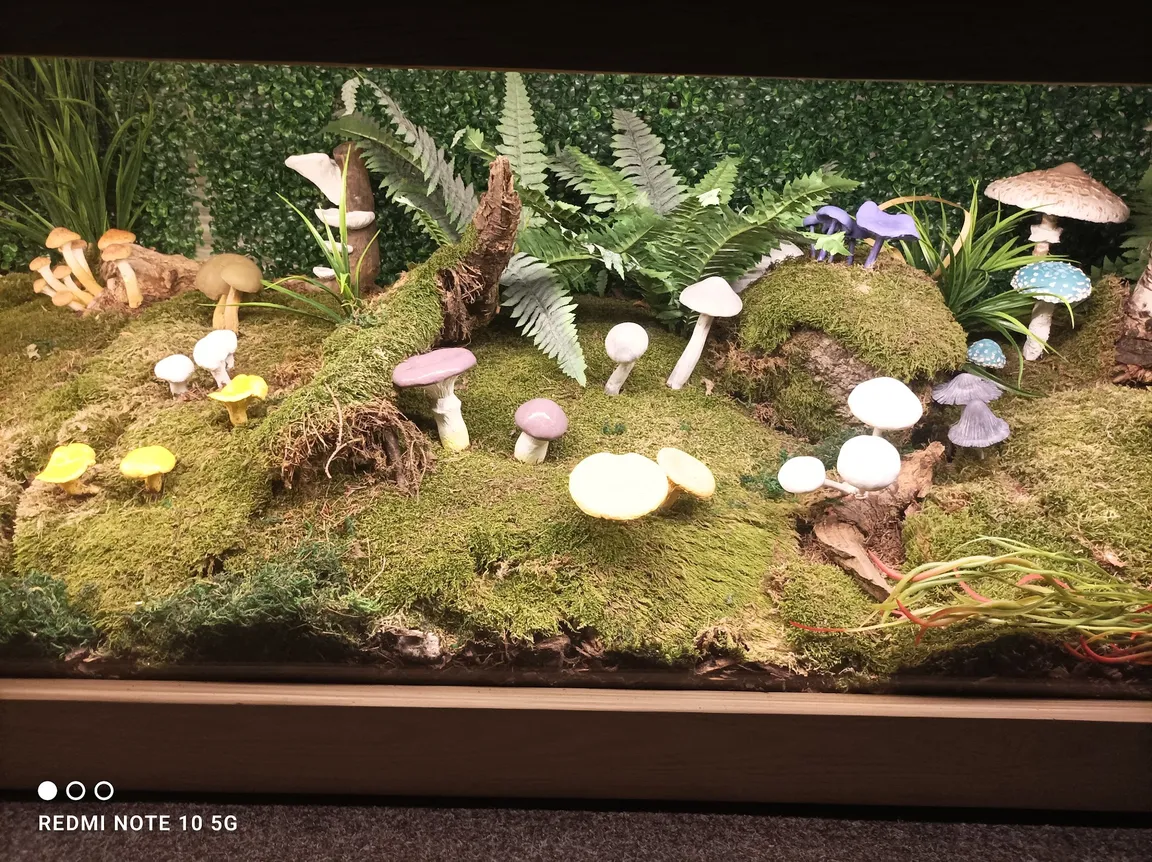Multimedialne Muzeum Karkonoszy