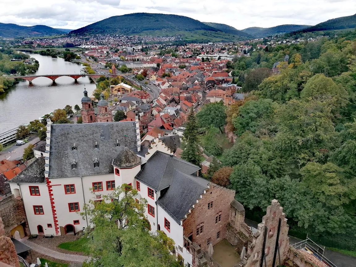Burg Miltenberg