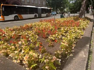 Blumenbeet Mönchhofplatz