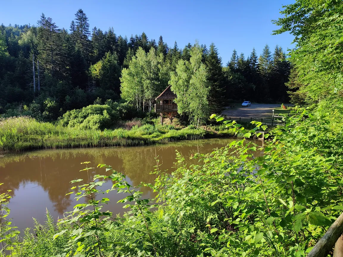 Jeziorka Bobrowe - platforma widokowa