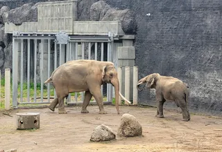 Orientarium ZOO Łódź