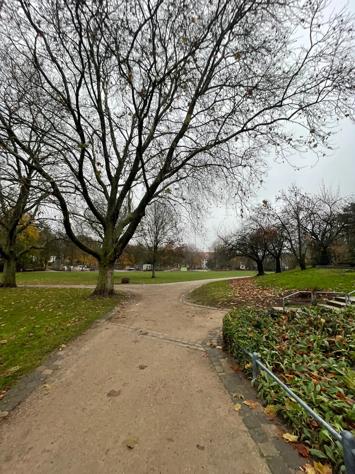 Südpark