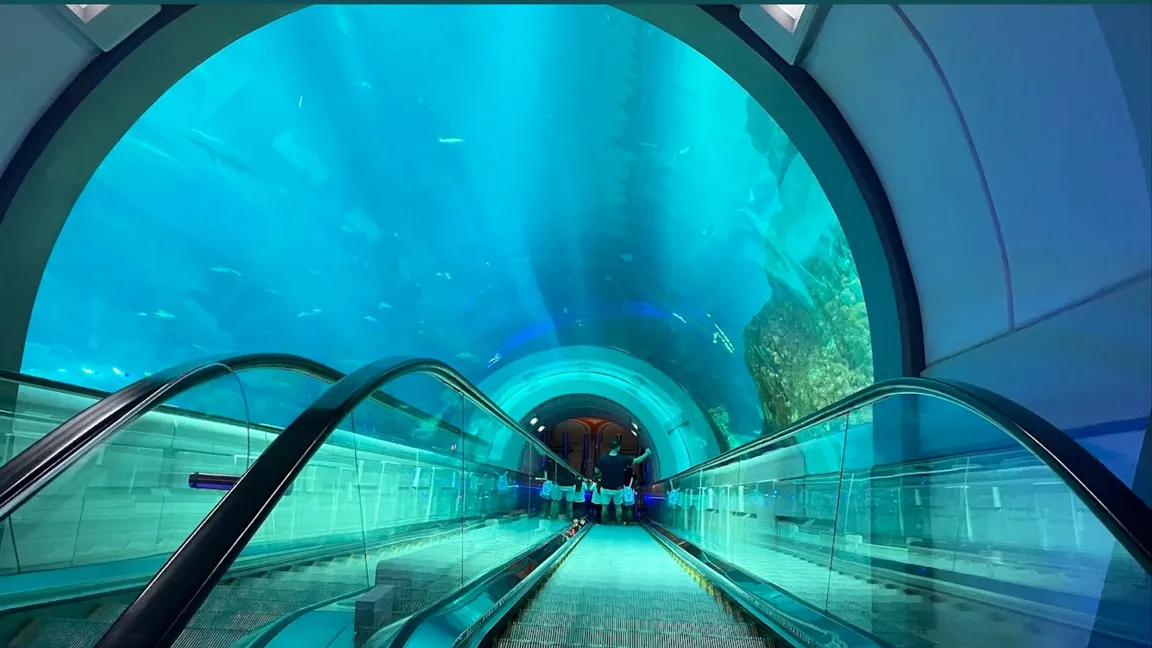 SeaWorld Abu Dhabi | سي وورلد جزيرة ياس، أبوظ