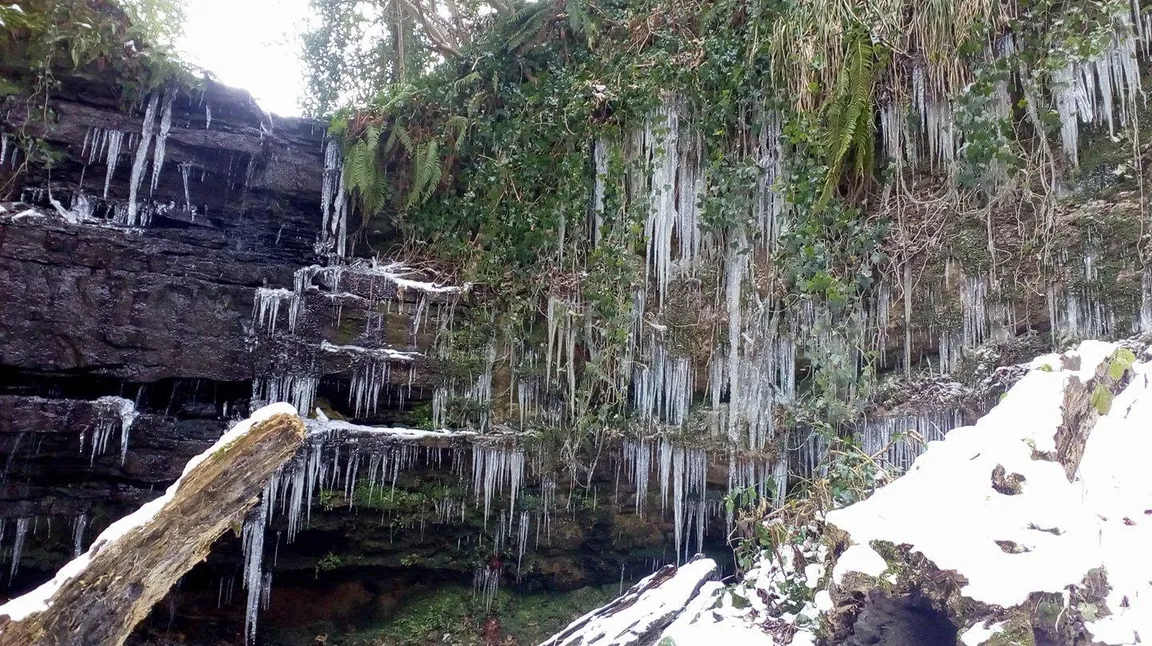 Old Roar Gill