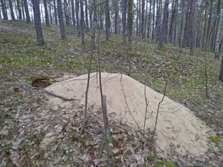 Góra Świętego Antoniego