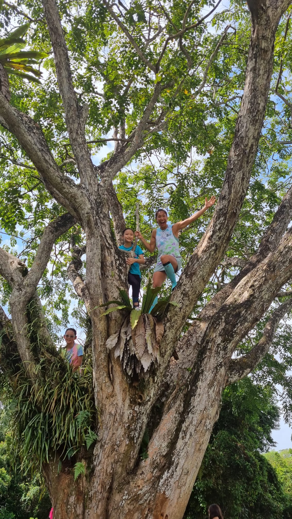 Into The Wild Camps | Hopsa