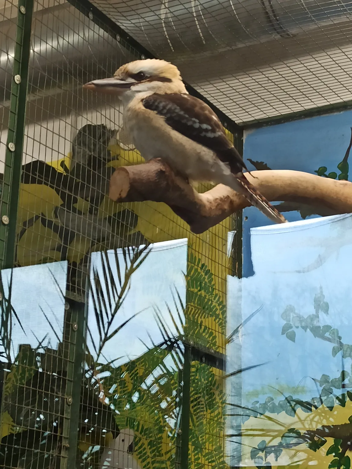 Ogród Zoobotaniczny w Toruniu