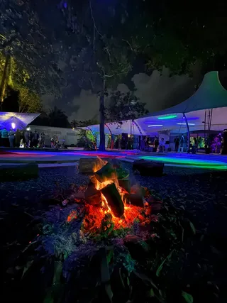 Electric Forest
