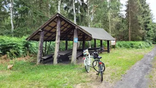 Ścieżka spacerowo-edukacyjna “Karsiborskie paprocie”