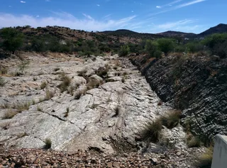Avis Dam Nature Reserve