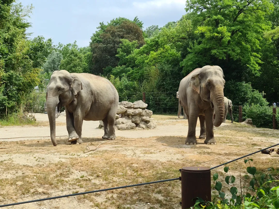 Hellabrunn Zoo