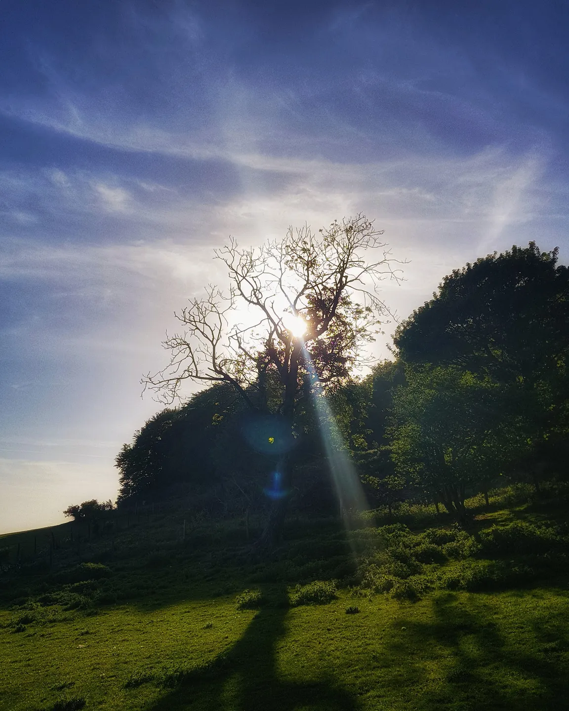 White Horse Wood Country Park