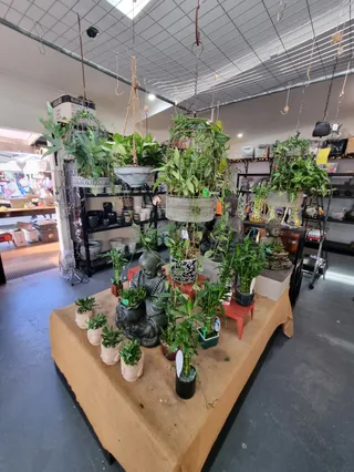 Carrara Markets