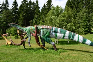 Park Dinozaurów/ Karłów