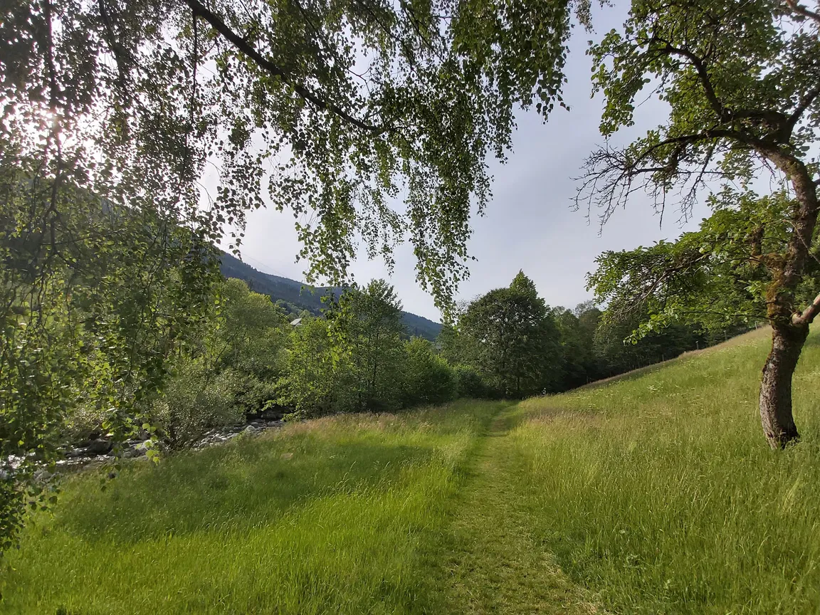 Zweitaelersteig
