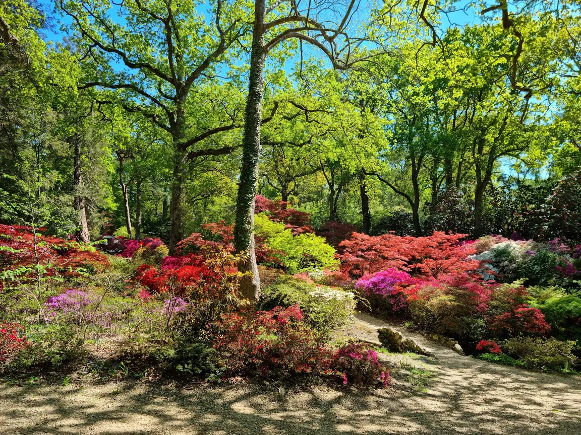 Exbury Gardens & Steam Railway