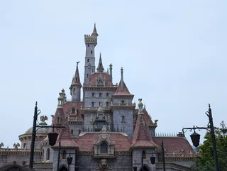 Beast Castle