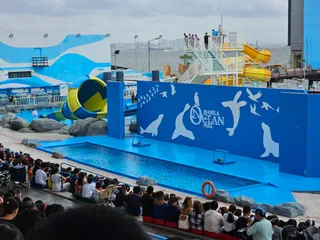 Ocean Park Aqua Adventure