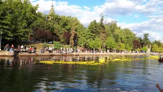 Alpinet Park