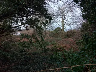 Castell Mwrtach Walk - Site Of Ancient Irish Hill Fort