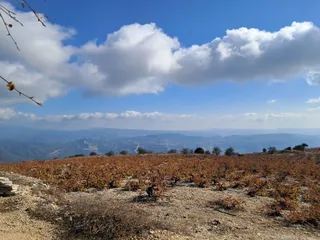 Vouni Panagia Nature Trail