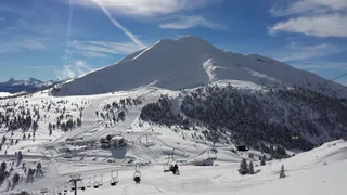 Oclini - Jochgrimm