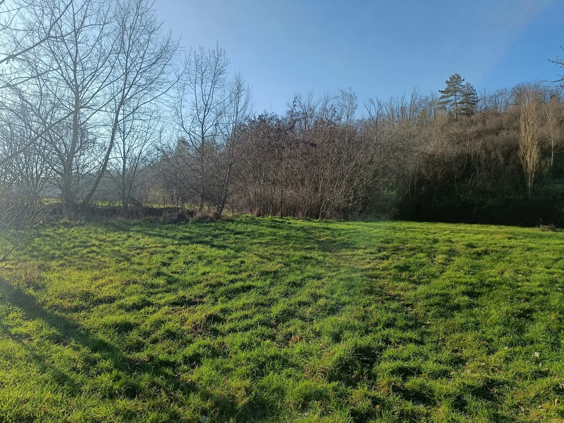 GeoPfad Weisenau Zugang Höhenweg