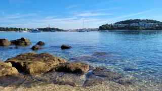 Lone bay