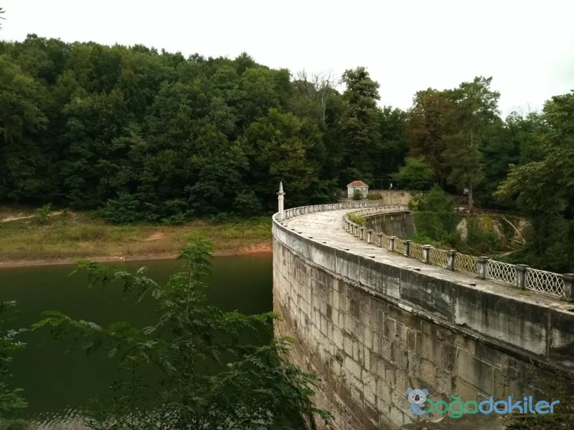 Bentler National Park